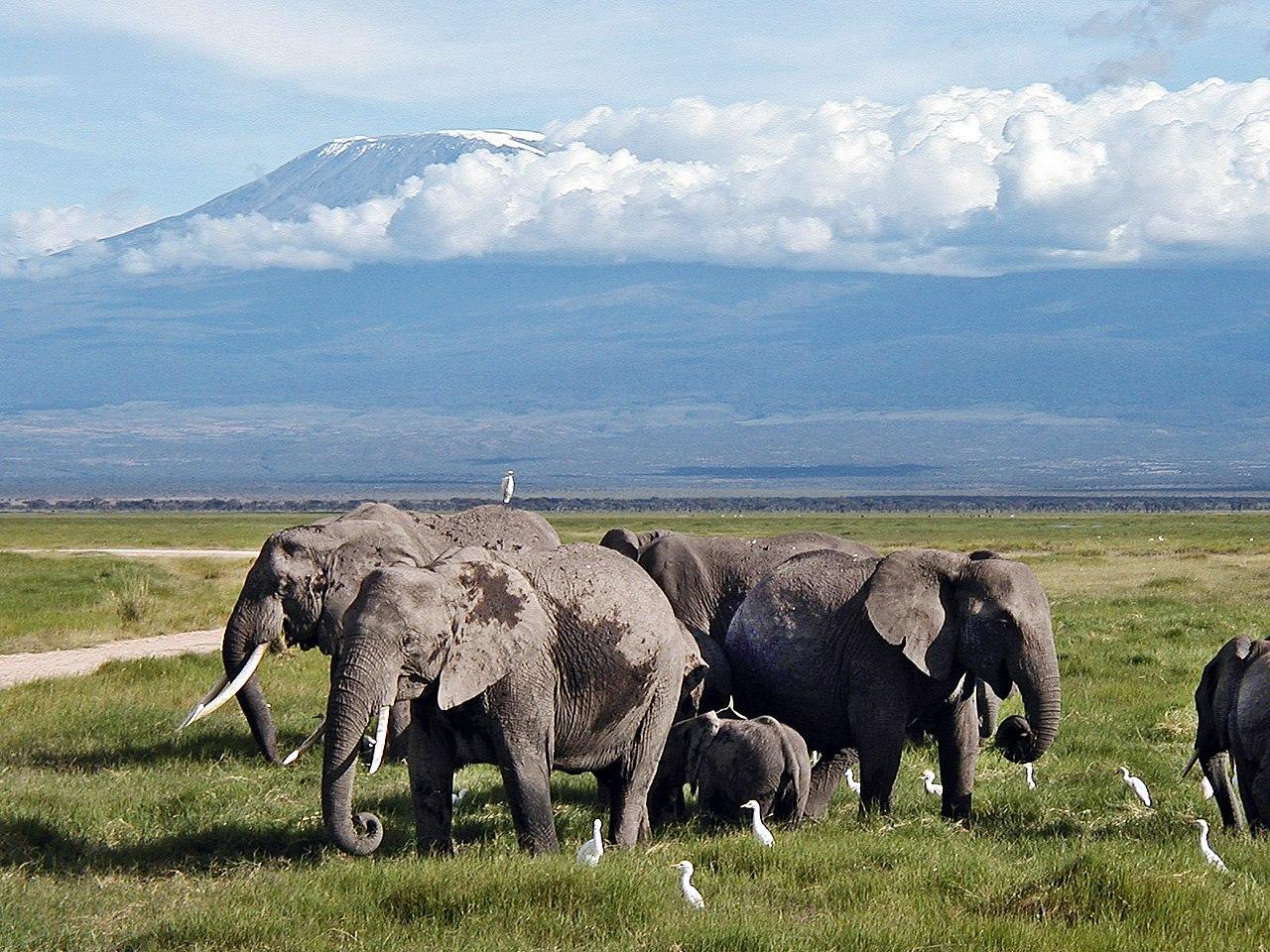 Southern Rift Valley, Kenya